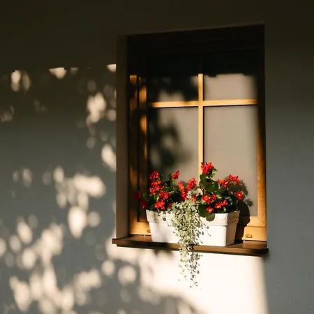 Daire Homestead Lukec - Archery, Bbq, Escape Room, Kayaking Kostel