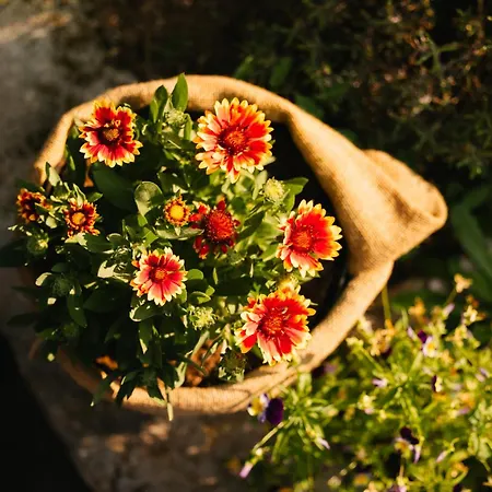 Homestead Lukec - Archery, Bbq, Escape Room, Kayaking Lejlighed Kostel