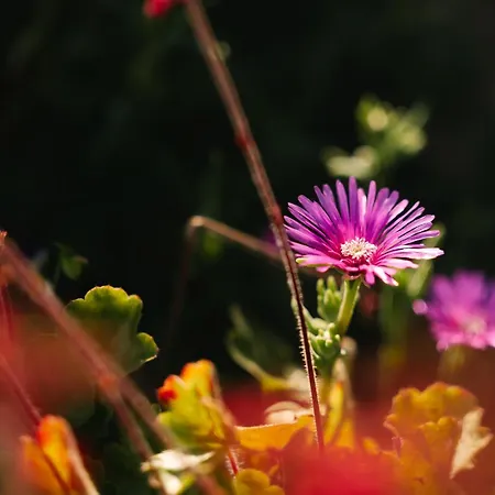 Homestead Lukec - Archery, Bbq, Escape Room, Kayaking *