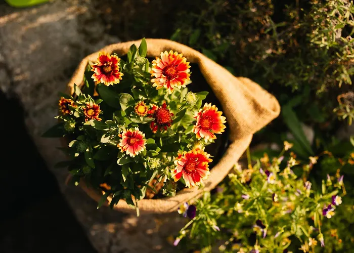 Homestead Lukec - Archery, Bbq, Escape Room, Kayaking Lejlighed Kostel