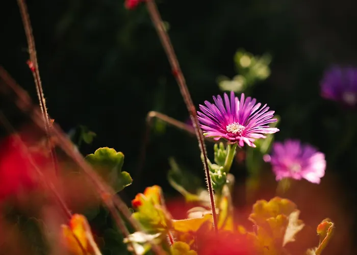 Homestead Lukec - Archery, Bbq, Escape Room, Kayaking *